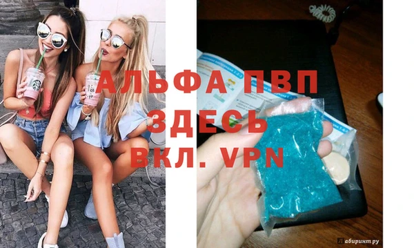 ешки Белокуриха