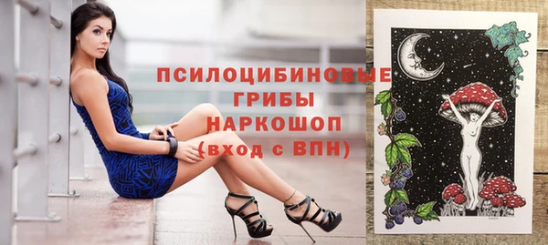ешки Белокуриха